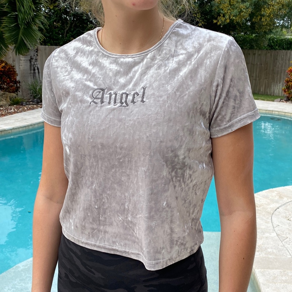 Silver velvet crop top w/embroidery.  Excellent condition.